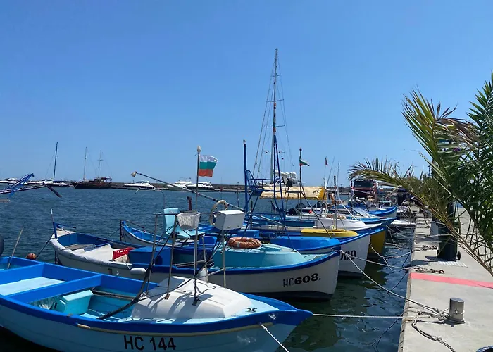 Horizon 11 'б' סבטי ולאס